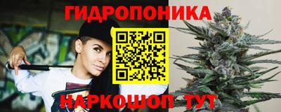 ешки Лесосибирск